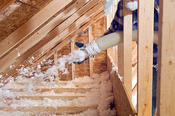 Best Blown-In Insulation in USA